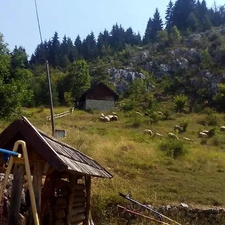Guest house Planinarski Dom Cavljak *